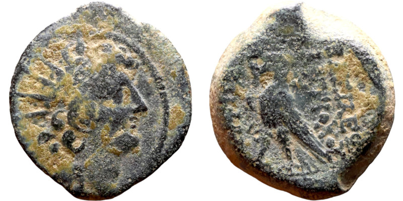 Antiochos VIII Epiphanes (Seleukid King: 121-96 BC). AE bronze. Obv.: diademed h...