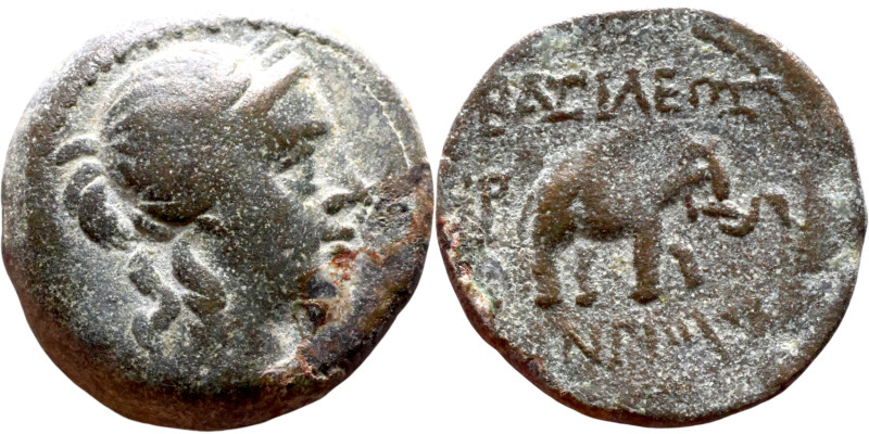 Antiochos III The Great (Seleukid King: 223-187 BC). AE bronze. Obv.: Laureate h...