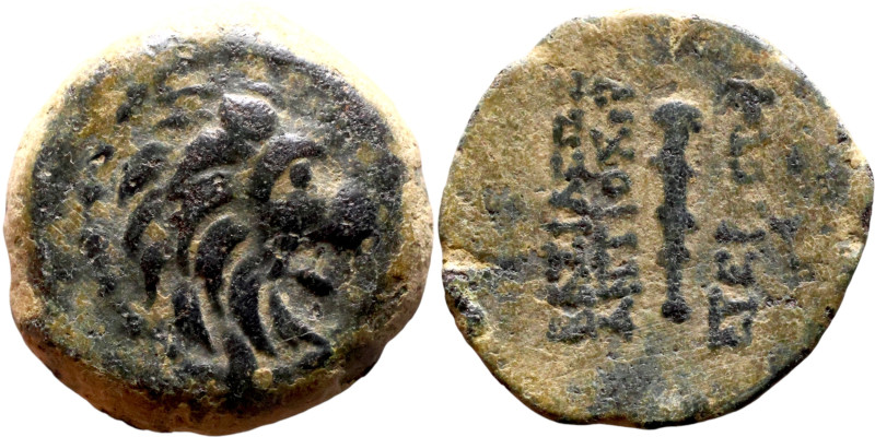 Antiochos VII Sidetes (Seleukid King: 138-129 BC ) bronze coins. Obv.: Head of L...
