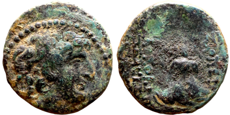 Tryphon (Seleukid King: 142-138 BC). AE bronze. Obv.: diademed bust of Tryphonos...