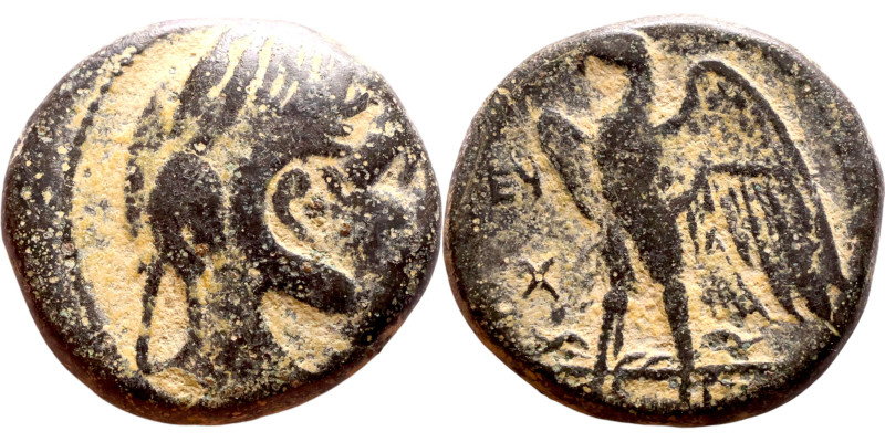 Ptolemaic Kings Of Egypt. (3-1 century BC. Bronze. Obverse: Head of Zeus. Revers...