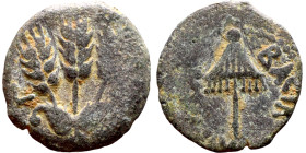 JUDAEA. Jerusalem mint. Agrippa I (under Claudius, 37-44 AD). AE prutah. Obv.: ΒΑCΙΛΕWC ΑΓΡΙΠΑ; Umbrella-like canopy with fringes. Rev.: Three ears of...