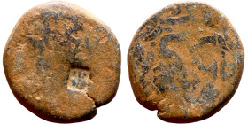Nerva (96-98) Syria, Antioch. Obverse: Bust of Emperor. Reverse: Large S C

24mm 14.93g