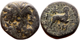 SYRIA. Antioch. Pseudoautonomous (time of Augustus, year 44 = 13/14 AD). AE bronze. Obv.: laureate head of Zeus, right. Rev.: ΕΠΙ ΣΙΛΑΝΟΥ ΑΝΤΙΟΧΕΩΝ, Δ...
