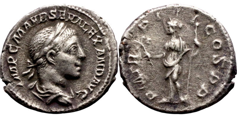 Alexander Severus (222-235) Denarius. Obverse: Bust of emperor. Reverse: Pax sta...