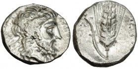 LUCANIA. Metaponto. Nomos (340-330 a.C.). A/ Cabeza laureada de Zeus a der. R/ Espiga; META. AR 7,93 g. Historia Numorum Italy-1557 vte. Acuñación alg...
