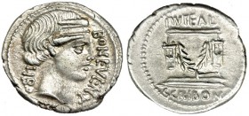 SCRIBONIA. Denario. Roma (62 a.C.). FFC-1102. SB-8a. EBC-.