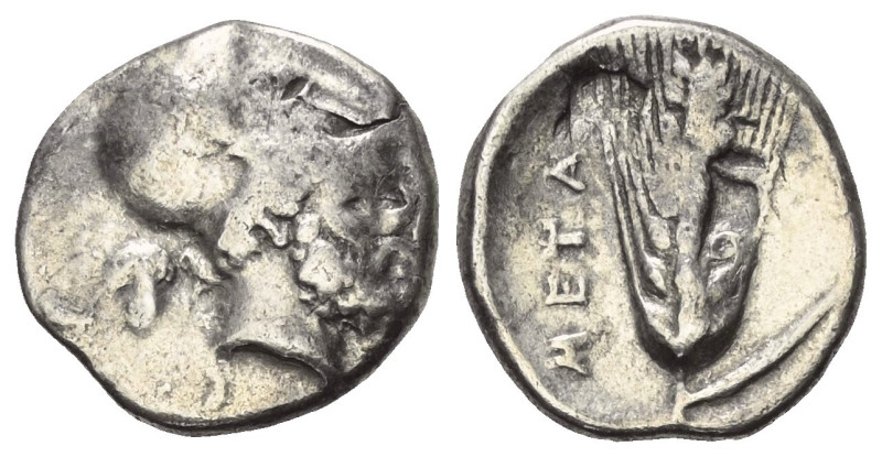 Lukanien. Metapont.

 Nomos (Silber). Ca. 340 - 330 v. Chr.
Vs: Kopf des Leuk...