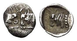 Karien. Unbestimmte Münzstätte.

 Tetartemorion (Silber). Ca. 500 - 450 v. Chr.
Vs: Zwei Stierprotomen einander gegenüber.
Rs: Stierprotome links ...