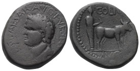 Phönikien. Berytos. Titus (79 - 81 n. Chr.).

 Bronze.
Vs: IMP T CAESAR AVG F VESPA[...]. Kopf des Titus links.
Rs: COL IVL / AVG. Priester, einen...
