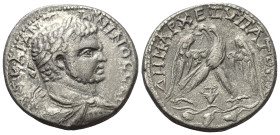 Judäa. Aelia Capitolina. Caracalla (197 - 217 n. Chr.).

 Tetradrachme (Billon). Ca. 215 - 217 n. Chr.
Vs: Büste des Caracalla in Rückansicht mit L...