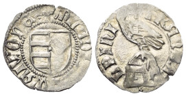 Walachei - Fürstentum. Vladislav I. (1364 - 1377).

 Dinar (Silber). Ohne Jahr.
Typ III.

Vs: + M(oneta) LADIZLAI WAIWODE. Gespaltenes Wappenschi...