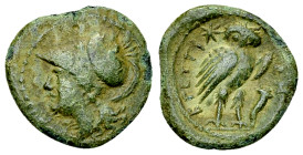 The Brettii AE 12, c. 216-208 BC
