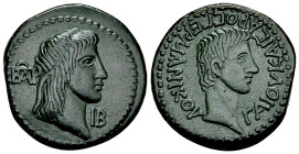 Aspurgus AE 12 Units