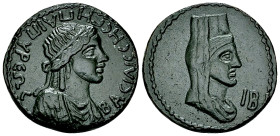 Gepaepyris AE 12 Units