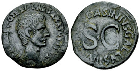 Augustus AE As, Asinius Gallus, moneyer