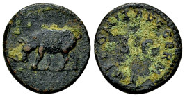 Domitianus AE Quadrans, Rhinoceros reverse