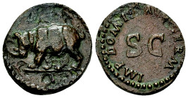 Domitianus AE Quadrans, Rhinoceros reverse
