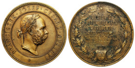 Polish Medals 17th-20th centuries
POLSKA / POLAND / POLEN / POLOGNE / POLSKO

Polska. Medal Nagrodowy Akademii pieces Pięknych w Krakowie 1904 
AW...