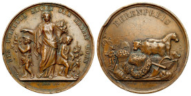 Germany
Germany. Medal 1877 - For achievements in agriculture 
AW: Scena wiejska z rolnikiem siejącym, zwierzętami, narzędzia rolnicze, uprawy i ul...