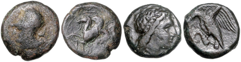 ITALIEN, SIZILIEN, Stadt Akragas, AE 21 (Phintias 287-279 v.Chr.). Belorb. Kopf ...