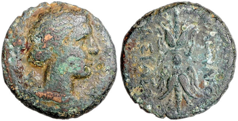 ITALIEN, SIZILIEN, Stadt Syrakus, AE 22 (Agathokles, 317-289 v.Chr.). Artemiskop...