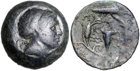 KLEINASIEN, MYSIEN, Stadt Kyzikos, AE 28 (2./1.Jh.). Korekopf r. Rs.Bukranion in Ährenkranz. 20,58g.
Ware ist regelbesteuert
standard taxation
selt...