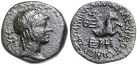 KLEINASIEN, KILIKIEN, Stadt Seleukeia, AE 17 (2.-1.Jahrh. v.Chr.). Belorb. Kopf des Apollo r. Rs.Pferdeprotom. 3,79g.
 ss
Sear 5593; BMC 21.130.11ff