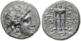 SYRIEN, Antiochos II., 261-246 v.Chr., AE 17. Kopf des Apollo r. Rs.Dreifuß, i.l.F. Monogramm. 4,13g.
 vz
Sear 6891; BMC 4.15.11