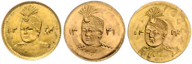 IRAN, Ahmad Shah, 1909-1925, 2000 Dinars =1/5 Toman AH 1334 =1915. 14,1mm; 0,46g. 13,54mm; 0,59g. DAZU:Ebs., AH 1341 =1922. 13,84mm; 0,5g.
Ware ist M...