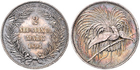 KOLONIEN, Deutsch-Neuguinea, 2 Mark 1894 A.
 2 winz. tiefe Kr. auf "N", ss/vz
J.706; N.716; Y.6