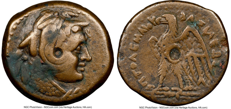 PTOLEMAIC EGYPT. Ptolemy II Philadelphus (285/4-246 BC). AE (22mm, 12h). NGC Cho...