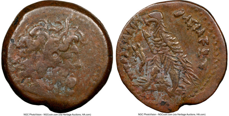 PTOLEMAIC EGYPT. Ptolemy III Euergetes (246-222 BC). AE (22m, 12h). NGC Choice F...