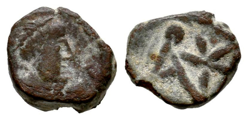 Anastasius I. Nummus. 491-498 AD. Constantinople. (Doc-15). (MIB-40). (Tesorillo...