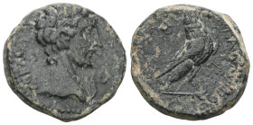 Roman Provincial
PHRYGIA. Amorium. Augustus, 27 BC-AD 14. Assarion (Bronze), struck under the magistrate Kallippos, son of Alexandros. ΣEBACTOC Bare ...