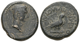 Roman Provincial
Phrygia. Amorium. Caligula (37 - 41 AD).
Bronze.
Obverse: Head of Caligula right.
Rev: Eagle standing on club facing right; in th...