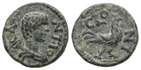 Roman Provincial
PISIDIA. Antiochia. Pseudo-autonomous issue. 1/3 Assarion (Bronze), time of the Severans, circa 193-235. ANTIO Bare-headed and drape...