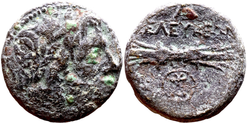 Seleukos I Nikator ? (Seleukid King: 312 - 281 BC) AE bronze. Obv: Laureate head...