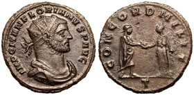 Florian BI Antoninianus