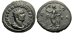 Carausius BI Radiate