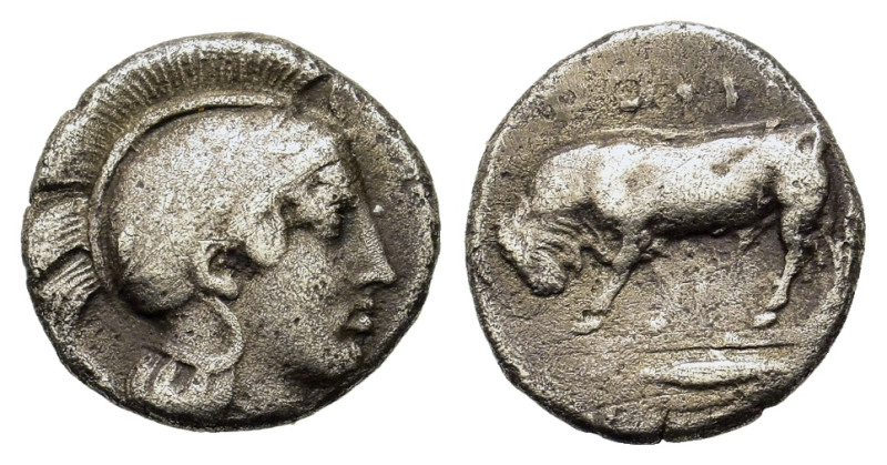 Italy, Southern Lucania, Thourioi, c. 443-400 BC. AR Diobol (11.5mm, 1.10g). Hea...