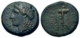 Sicily, Tauromenion, c. 305-289 BC. Æ Hemilitron (20.8mm, 7g). Laureate head of Apollo Archagetas l. R/ Tripod. Campana 7; CNS III, 16; SNG ANS 1126; ...