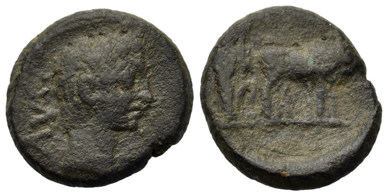 Augustus (27 BC-AD 14). Macedon, Philippi. Æ (18,8mm, 5.3g). Bare head of August...