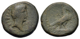 Augustus (27 BC-AD 14). Phrygia, Amorium. Æ (19,6mm, 6.7g). Kallippos Alexandrou, magistrate. Bare head r.; lituus to right. R/ Eagle standing right o...