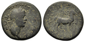 Claudius (41-54). Caria, Cidrama. Æ (20mm, 6,20g). Polemon, son of Seleukos, magistrate. Laureate head r. R/ Horse prancing r. RPC I 2878. Good Fine