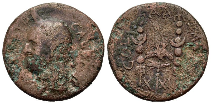 Galba (68-69). Achaea, Patrae. Æ As (26,6mm, 6.6g). Bare head l. R/ X XII, aquil...