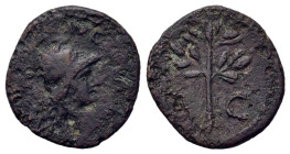 Domitian (81-96). Æ Quadrans (20mm, 3.7g). Rome, 81-2. Helmeted head of Minerva r. R/ Olive branch. RIC II 240.