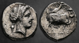 Campania. Neapolis circa 320-300 BC. Nomos AR