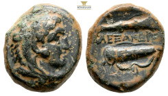 KINGS OF MACEDON. Alexander III 'the Great', 336-323 BC
Obv: Head of Herakles right, wearing lion skin.
Rev: AΛΕΞΑΝΔΡΟΥ
Club, quiver and bow
AE Unit, ...