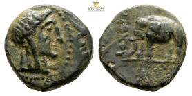 SELEUKID KINGS of SYRIA. Antiochos III 'the Great', 223-187 BC. Sardes
Obv: Laureate head of Apollo to right. 
Rev. ΒΑΣΙΛΕΩΣ ΑΝΤΙΟΧΟΥ 
Elephant standi...